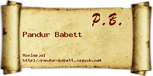 Pandur Babett névjegykártya
